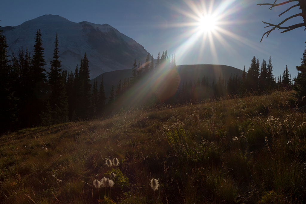 09-25 - 06.jpg - Mount Rainier National Park, WA